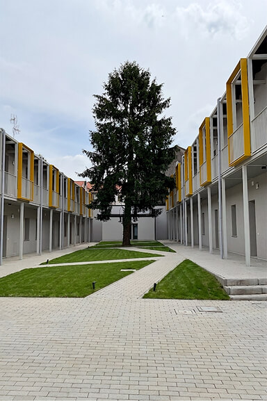 Corte interna del complesso residenziale di Legnano, con percorsi pedonali, aree verdi e un grande abete al centro.
