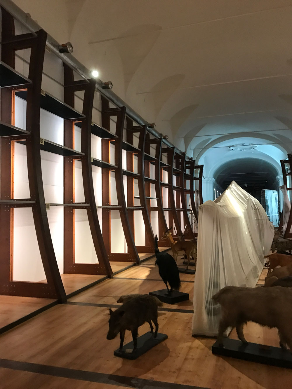 Allestimento con animali tassidermizzati.