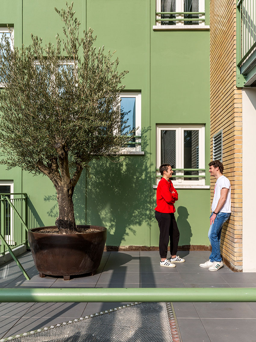 Due persone conversano su un moderno balcone urbano con un ulivo in vaso e un edificio a due colori (verde e mattoni) sullo sfondo.